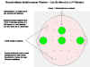 Neurofeedback-Reinforcement display.jpg (43492 bytes)